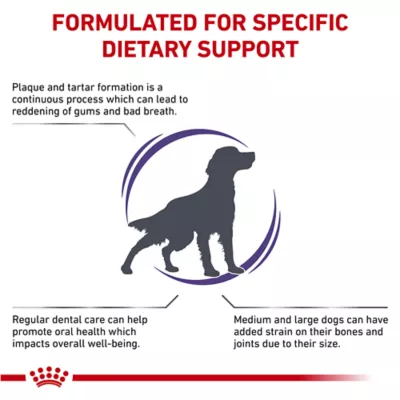 Product Royal Canin® Veterinary Diet Canine Dental Adult Medium and Large Dog Dry Food