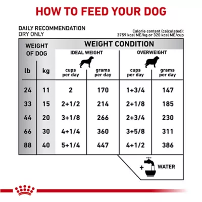 Product Royal Canin® Veterinary Diet Canine Dental Adult Medium and Large Dog Dry Food