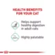 Product Royal Canin® Feline Care Nutrition Digestive Care Adult Wet Cat Food - 3 Oz