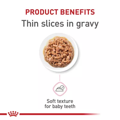Product Royal Canin® Feline Health Nutrition Kitten Thin Slices in Gravy Wet Cat Food - 3 oz can, 12 count