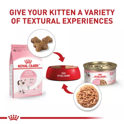 Product Royal Canin® Feline Health Nutrition Kitten Thin Slices in Gravy Wet Cat Food - 3 oz can, 12 count