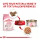 Product Royal Canin® Feline Health Nutrition Kitten Thin Slices in Gravy Wet Cat Food - 3 oz can, 12 count