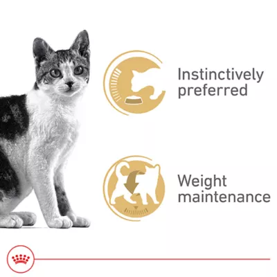 Product Royal Canin® Feline Health Nutrition Instinctive Adult Cat Slices in Gravy Wet Food  3 oz can 12ct