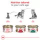 Product Royal Canin® Feline Health Nutrition Instinctive Adult Cat Slices in Gravy Wet Food  3 oz can 12ct