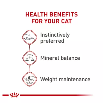 Product Royal Canin Feline Instinctive Adult Wet Cat Food, Health Nutrition - Loaf in Sauce, 3 oz.
