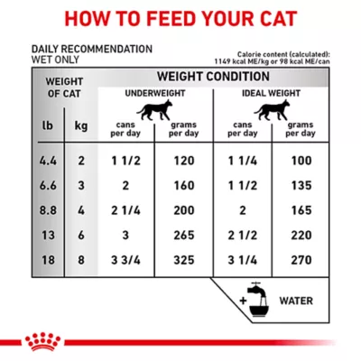 Product Royal Canin® Veterinary Diet Feline Renal Support D Adult Cat Wet Food in Gravy  3 oz can