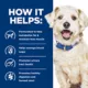 Product Hill's Prescription Diet w/d Digestive/Weight/Glucose Management Adult Dog Food - Stew