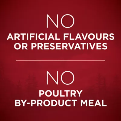 Product Purina ONE True Instinct Dry Dog Food - Turkey & Venison