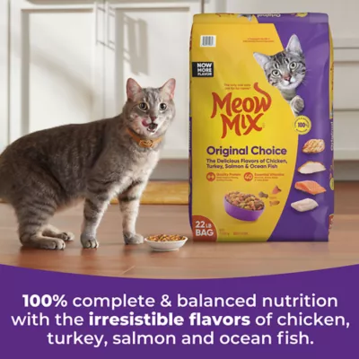 Product Meow Mix Original Choice Dry Cat Food All Ages, Chicken, Turkey, Salmon, Ocean Fish