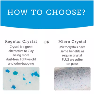 Product ExquisiCat Litter Micro Crystals Clumping Multi-Cat Silica Cat Litter - Unscented, Low Dust