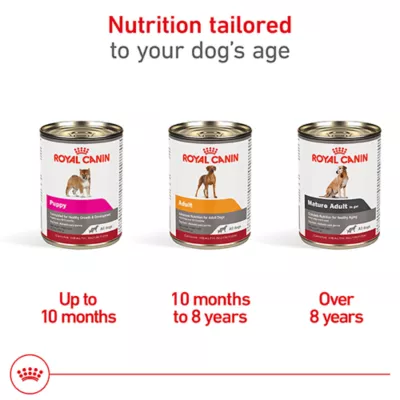 Product Royal Canin Canine Health Nutrition Puppy Dog Wet Food - 13.5 oz