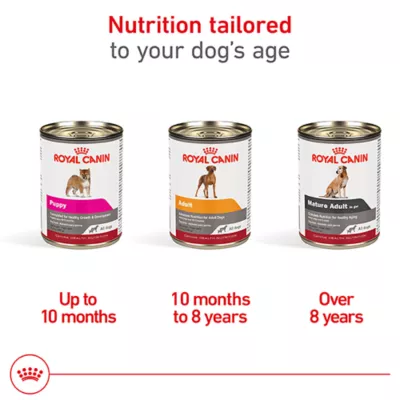 Product Royal Canin Canine Health Nutrition Adult Dog Wet Food - 13.5 oz