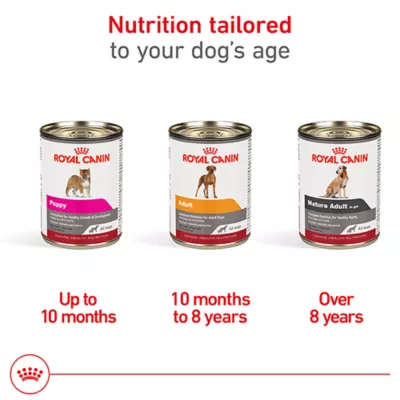 Product Royal Canin Canine Health Nutrition Mature Adult Dog Wet Food - 13.5 oz