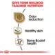 Product Royal Canin® Breed Health Nutrition® Bulldog Breed Specific Adult Dog Dry Food