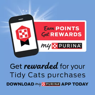 Product Purina® Tidy Cats® Lightweight With Glade Clumping Multi-Cat Clay Cat Litter - Clear Springs Scent