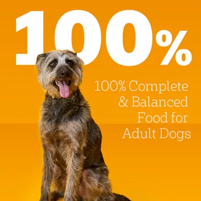 Product Pedigree® Chopped Ground Dinner Adult Wet Dog Food - 13.20z