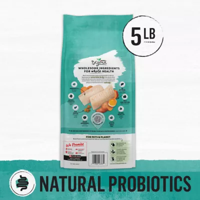 Product Purina® Beyond® Simply Grain Free Adult Cat Dry Food - Ocean Whitefish, Grain Free, Probiotics
