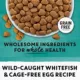 Product Purina® Beyond® Simply Grain Free Adult Cat Dry Food - Ocean Whitefish, Grain Free, Probiotics
