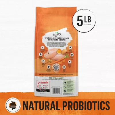 Product Purina® Beyond® Grain Free Adult Cat Dry Food - Chicken, Grain Free, Probiotics