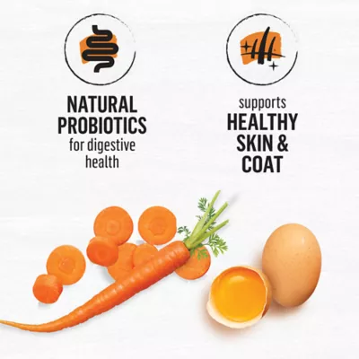 Product Purina® Beyond® Grain Free Adult Cat Dry Food - Chicken, Grain Free, Probiotics