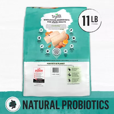 Product Purina® Beyond® Simply Grain Free Adult Cat Dry Food - Ocean Whitefish, Grain Free, Probiotics