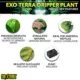 Product Exo Terra® Dripper Reptile Pplant