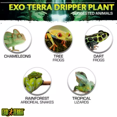 Product Exo Terra® Dripper Reptile Pplant