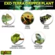 Product Exo Terra® Dripper Reptile Pplant