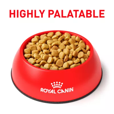 Product Royal Canin® Veterinary Diet Canine Ultamino Adult Dry Dog Food