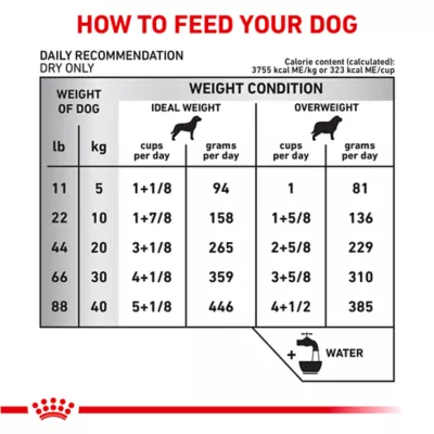 Product Royal Canin® Veterinary Diet Canine Ultamino Adult Dry Dog Food