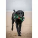 Product Iowa State Cyclones NCAA Field Dog Toy