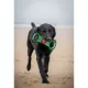 Product Ohio State Universty Buckeyes NCAA Field Dog Toy