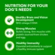 Product IAMS™ Proactive Health Puppy Dry Dog Food - Healthy Development, Chicken & Whole Grains