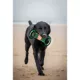 Product Oklahoma State Cowboys NCAA Field Dog Toy