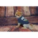 Product Seattle Seahawks NFL Team Tee