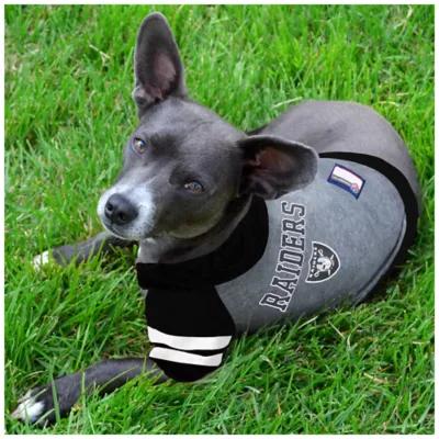 Product Pets First Las Vegas Raiders NFL Hoodie Tee