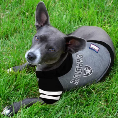 Product Pets First Las Vegas Raiders NFL Hoodie Tee
