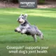 Product Cosequin® Minis Joint Health Supplement