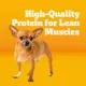 Product Pedigree® Complete Nutrition Small Breed Adult Dry Dog Food - Grilled Steak & Vegetables