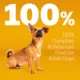 Product Pedigree® Complete Nutrition Small Breed Adult Dry Dog Food - Grilled Steak & Vegetables