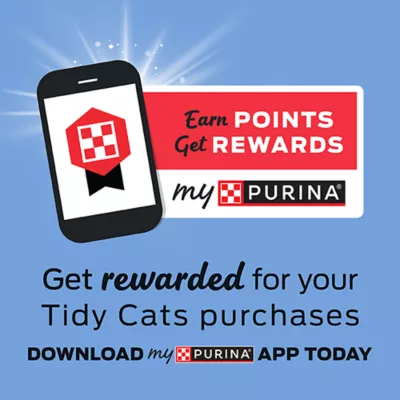Product Purina® Tidy Cats® 4-in-1 Strength Lightweight Clumping Multi-Cat Clay Cat Litter