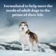 Product Blue Buffalo® Wilderness Denali Dinner Adult Wet Dog Food - Grain Free, Salmon, Venison & Halibut