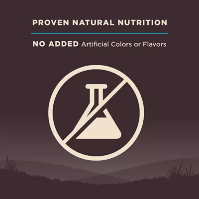 Product Wellness® CORE® Adult Dry Dog Food - Natural, Grain Free, Ocean Formula