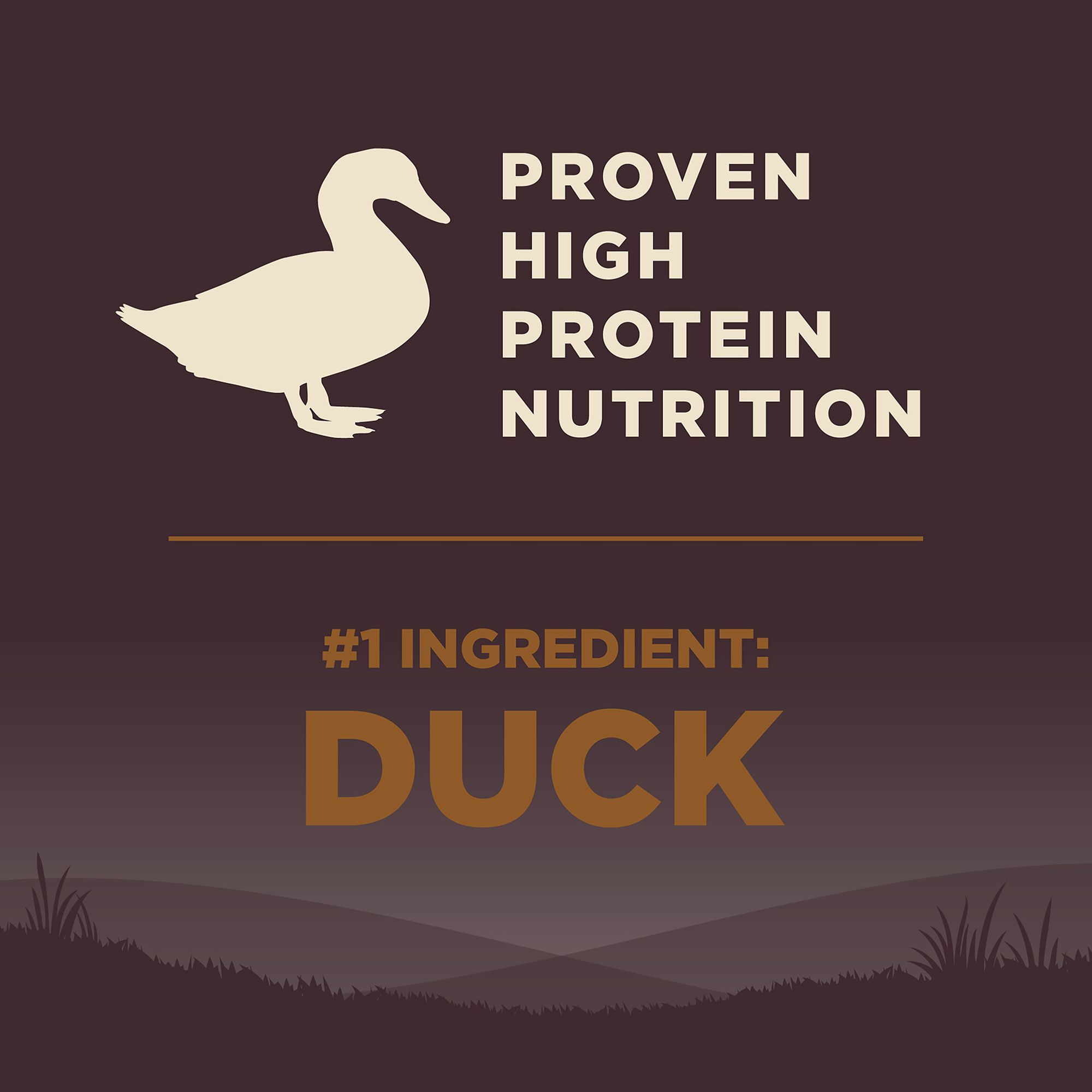 Imagen de producto 5