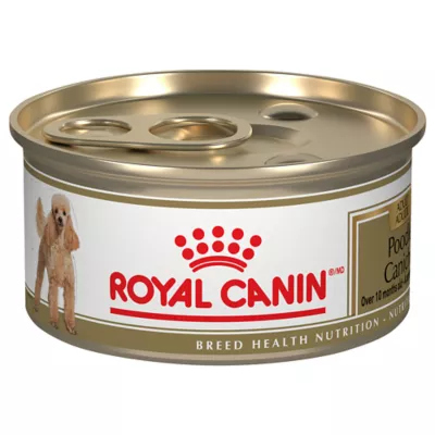 Product Royal Canin Breed Health Nutrition Poodle Adult Loaf in Sauce Wet Dog Food, 3 oz.