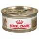 Product Royal Canin Breed Health Nutrition Poodle Adult Loaf in Sauce Wet Dog Food, 3 oz.