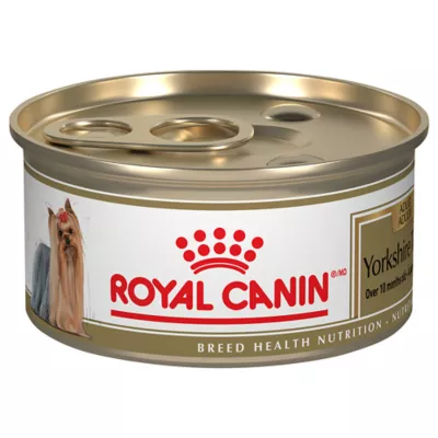 Product Royal Canin Breed Health Nutrition Yorkshire Terrier Adult Loaf in Sauce Wet Dog Food, 3 oz.