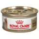 Product Royal Canin Breed Health Nutrition Yorkshire Terrier Adult Loaf in Sauce Wet Dog Food, 3 oz.
