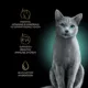 Product Sheba® Perfect Portions Adult Wet Cat Food - Cuts in Gravy, 2.65 Oz