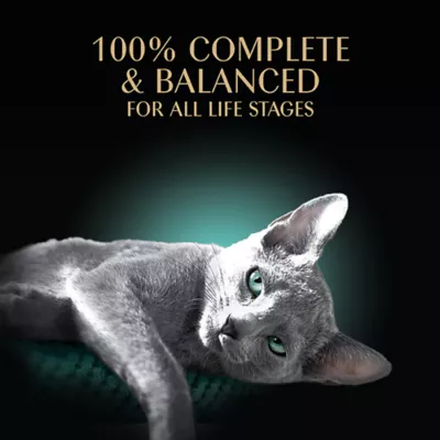 Product Sheba® Perfect Portions Adult Wet Cat Food - Cuts in Gravy, 2.65 Oz